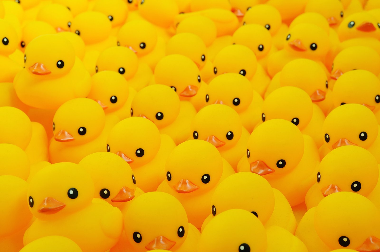 Rubber duck